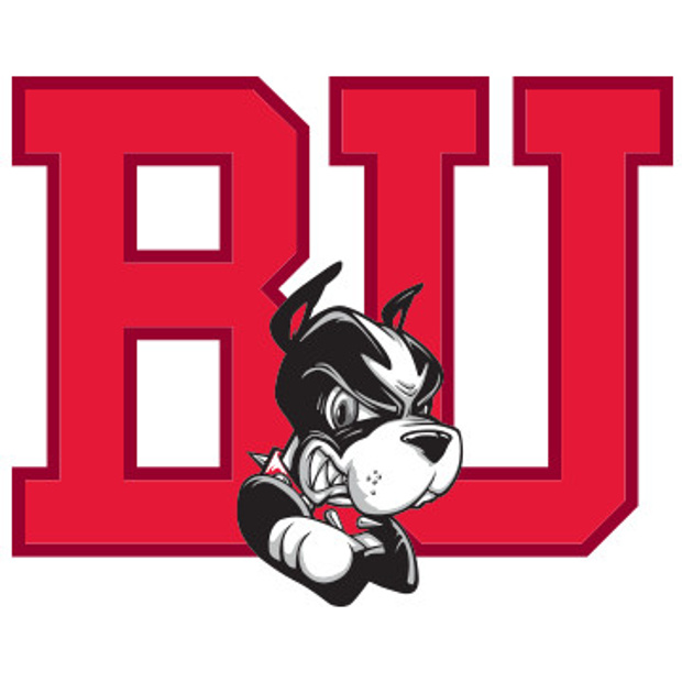 Boston University Terriers Logo