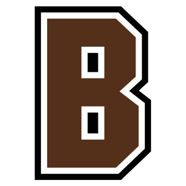 Brown Bears Logo