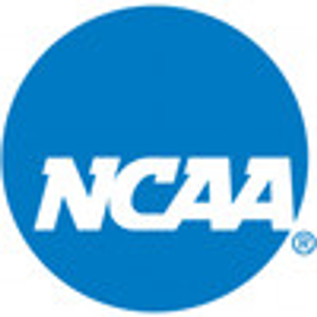 North Alabama Lions Logo