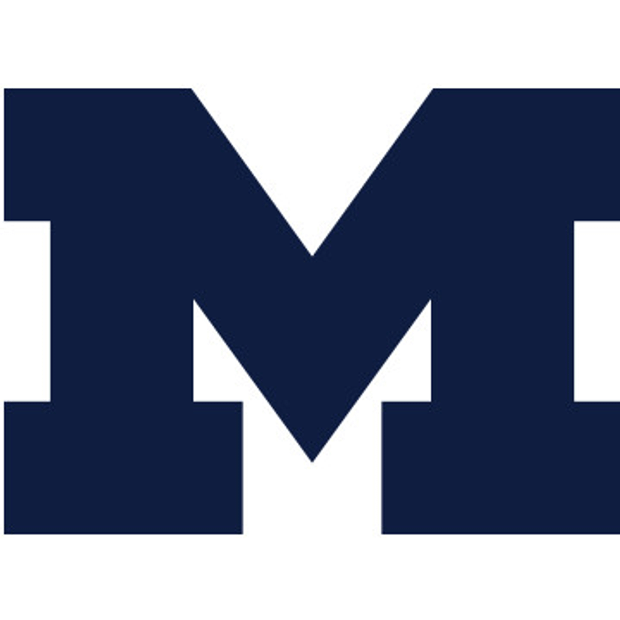 Michigan Wolverines Logo