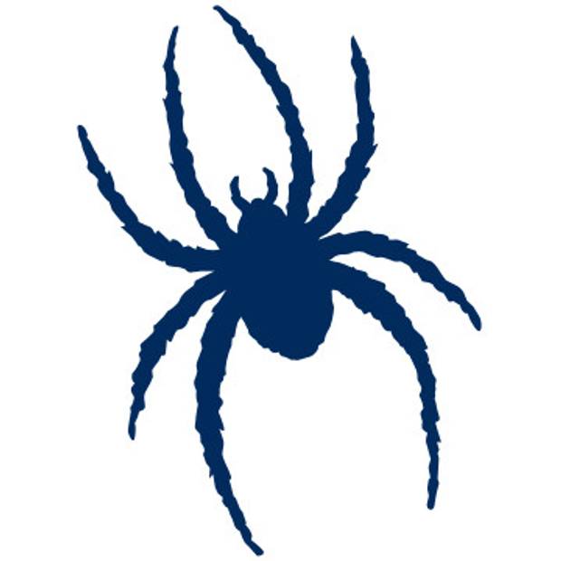 Richmond Spiders Logo