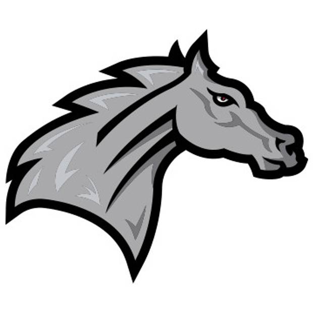 Rider Broncs Logo
