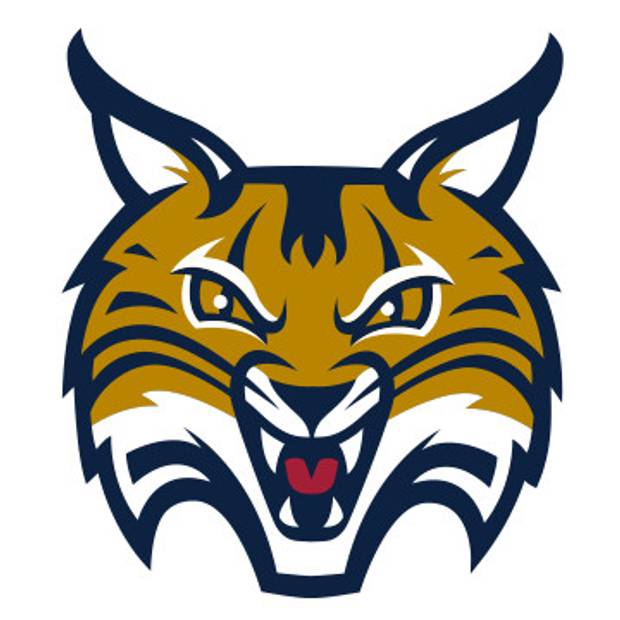 Quinnipiac Bobcats Logo