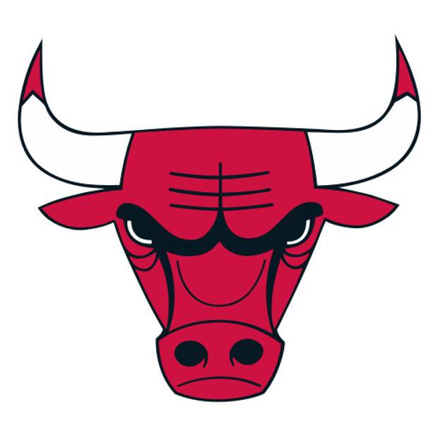 Chicago Bulls logo