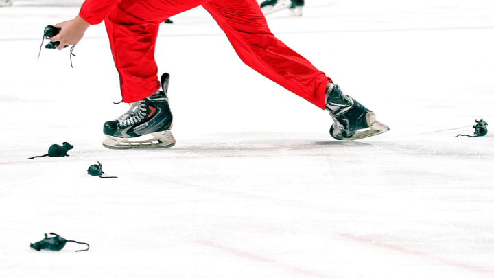 Watch: Panthers fans throw rubber rats on ice during game vs. Devils Watch: Panthers fans throw rubber rats on ice during game vs. Devils