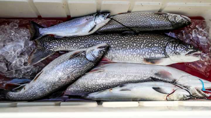 Fishermen Team Accused in Cheating Scandal Plead Not Guilty Fishermen Team Accused in Cheating Scandal Plead Not Guilty