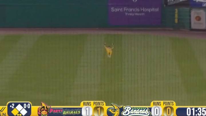 Baseball Fans Were Amazed by Backflip Catch by Savannah Bananas Center Fielder Baseball Fans Were Amazed by Backflip Catch by Savannah Bananas Center Fielder