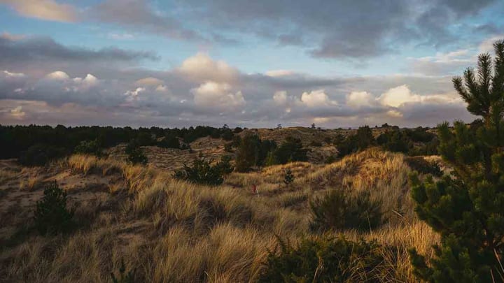 A Seventh Course is Coming to Bandon Dunes, and It Can Be Whatever You Want It To Be